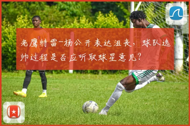 老鹰特雷-杨公开表达沮丧，球队选帅过程是否应听取球星意见？
